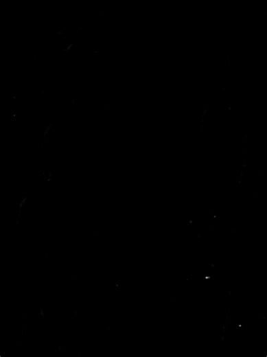 Black Beatles Lyrics and Typography Explained