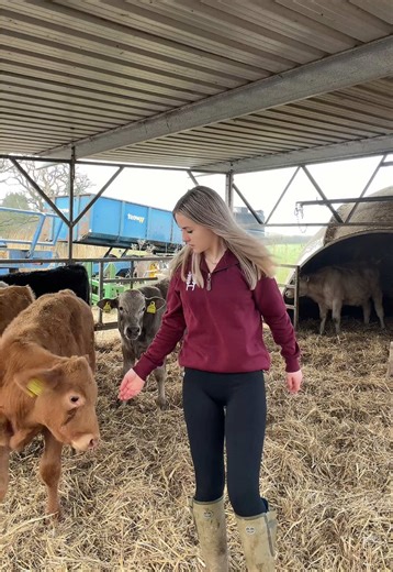Modern Agriculture Practices Using Tractors