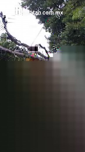 El huracán #Isidoro impactó en Yucatán hace 21 años. 🌀 | Diario de Yucatán