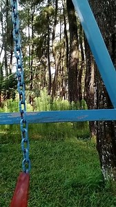 ASMR: Pure Jungle Sounds for Deep Relaxation & Focus (Birds, Wind, Quiet Rain)