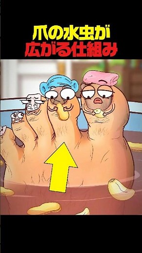 爪の水虫が広がる仕組み