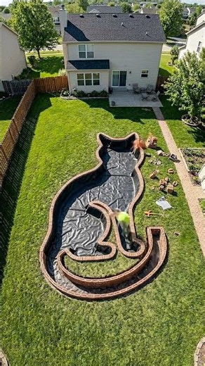 😲"I Built a GIANT Cat-Shaped Koi Pond in My Backyard! 🐱