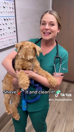 😰 Hot Spots in dogs are so common! There are a few treatment options: Prevention: - Always have them on flea and tick medication to avoid bites that can cause itchy skin or skin allergies from parasites. - Regular baths with medicated shampoos like Duoxo! Or regular baths to keep their skin clean will prevent hot spots. Treatments: Option 1: - Keep clean with spot shampoo bath! Use steroid topical sprays to cool it down and then antibiotic ointments. Option 2: Go to the Vet! 👩‍⚕️ 🧑‍⚕️ 1. Clip