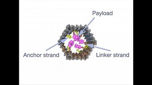 ⚠️A cell-targeted, payload-delivering DNA nanorobot developed at the Wyss Institute (2013)