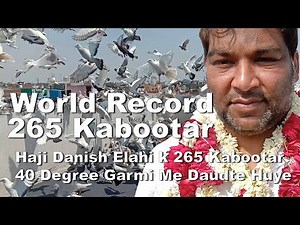 World Record Garmi ki Kabootar bazi | Kabootar bazi K King Danish Bhai k 265 Hyderabadi Kabootar