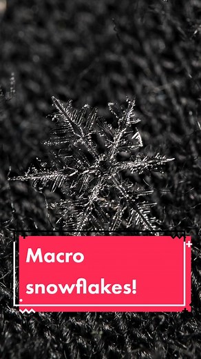 Reply to @natster.4 here are some beautiful snowflakes 😊❄️ #macrophotography #photography #snowflakes #canadian
