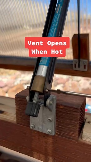 Auto Window Openers ☀️💯 | Sophie Rivera