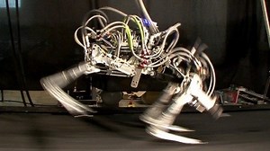 Boston Dynamics: Laufroboter Cheetah läuft Rekordgeschwindigkeit - Golem.de