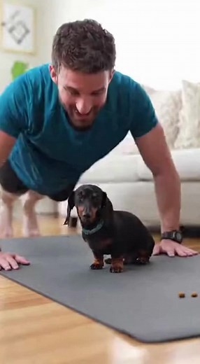 Training hard… or hardly training? #dachshund | April