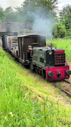 🚆 Alf Runs Under the Bridge at Rhydyronen #trains #railway #shorts