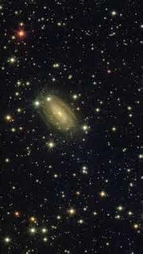 The Stars That Vanished Without a Trace