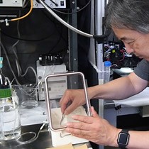 Stable Optical Recording Method for Brain Sli - JoVE Journal