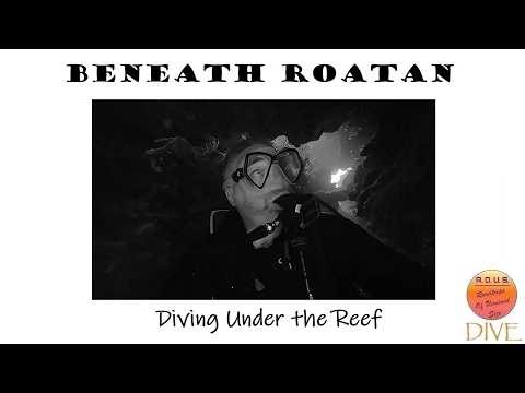 Episode 215: Diving Under the Reef