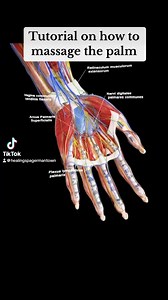 Tutorial on how to massage the palm. #massage #massagetherapist #hand#handmassage #palm #palmmassage #handwork #fingerworkout #fingermassage #relax#health#healing#fyp#foryou | Healing Spa