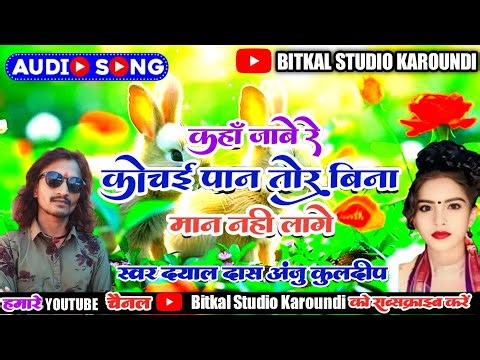 कहां जाबे रे कोचई पान।।तोर बिना मन नहीं लगे।।Cg Aarkestra Song।।Dayal Das Anju kuldeep।।New Song