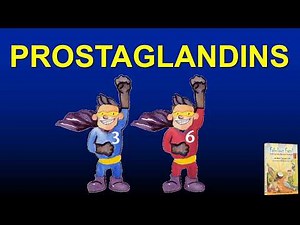 What are prostaglandins?