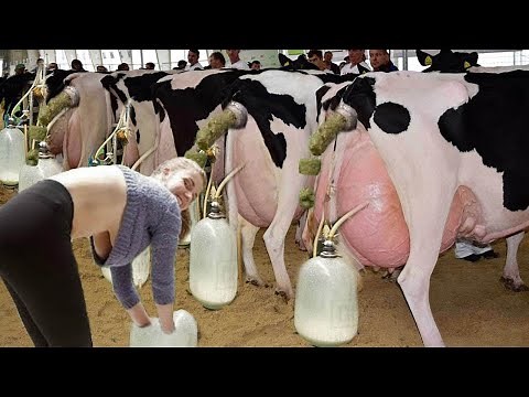 Expert Female Tractor Driver Modern Farming with VOLVO and John Deere Machinery