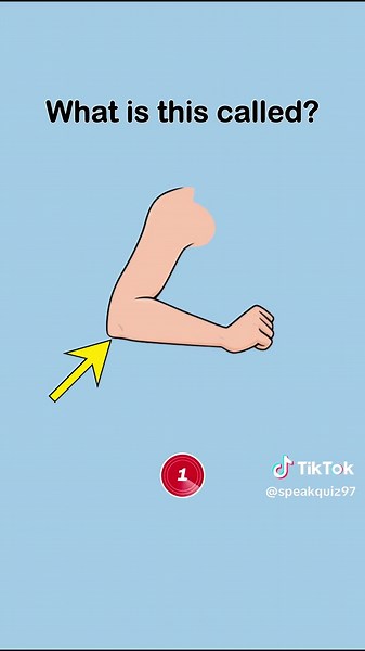 English Vocabulary Practice: Master Body Parts Terminology