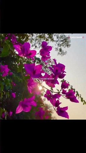 🧡✨ Kesariya ~ Arijit Singh | Kesariya for Brahmāstra🍿| Aesthetic Lyrics Video 🎶 | By - @AK-Aniket-1M