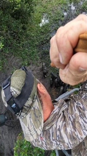 “Close Range Wild Hog Encounter – Extreme Tree Stand Shot!”#WildBoarHunt #CloseRangeShot#HogHunting