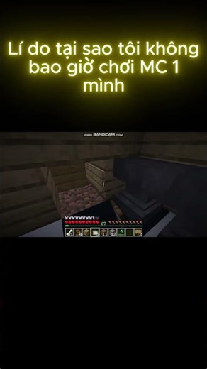 Lí do tại sao tôi không bao giờ chơi MC 1 mình #minecraft