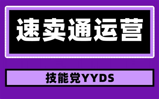 速卖通运营视频教程 技能党YYDS