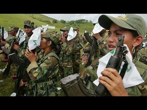 BICC Training Video on disarmament, demobilization and reintegration (DDR)