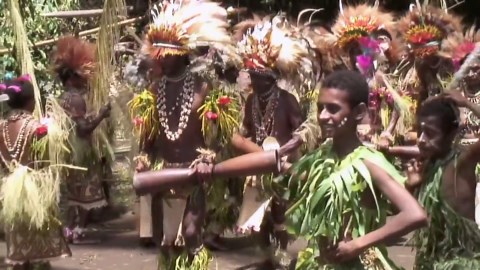 Unity (2015) ⭐ 7.3 | Documentary