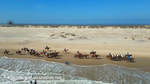 551 reactions · 51 shares | Horse riding on the Beach! We are your Bucket List fullfilling headquarters! South Padre Island Adventure Park! Morning, afternoon and stunning sunset guilded rides! southpadreislandadventures.com #southpadreislandadventurepark #sopadre | South Padre Island Adventure Park | Facebook