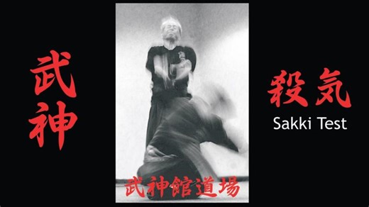 Masaaki Hatsumi Sakki Test Godan Test | Luca Lanaro