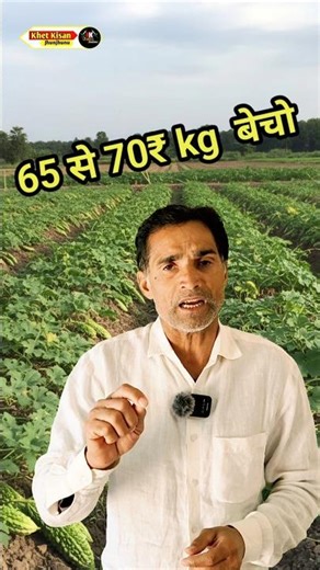 The Secret to Selling Bitter Gourd at Premium Prices (₹65-₹70/kg)