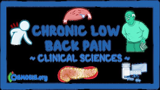 Chronic low back pain: Video & Meaning | Osmosis