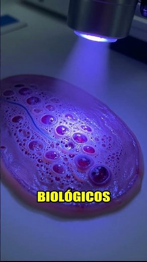 Luz UV: ¿Amenaza Vida? 🔬