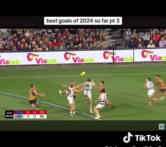 Best Goals of 2024: Amazing Highlights from AFL So Far