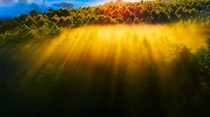 Natürliche Landschaften in 4K – Wo die Zeit langsamer vergeht