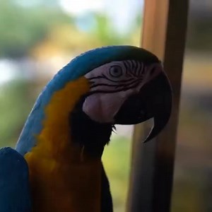 They Didn't Want Me To Film My Venezuela Experience... | Indigo Traveller