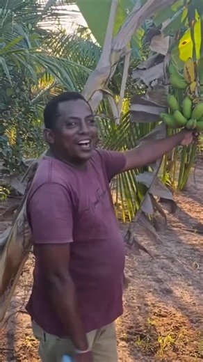 DAVID  on Instagram: "Entenderam? . #humor #meme #fy #comedia #funny"