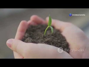 7 Characteristics of Living Things | Fun Science Lesson for Kids (Grades 5 to 10)😊