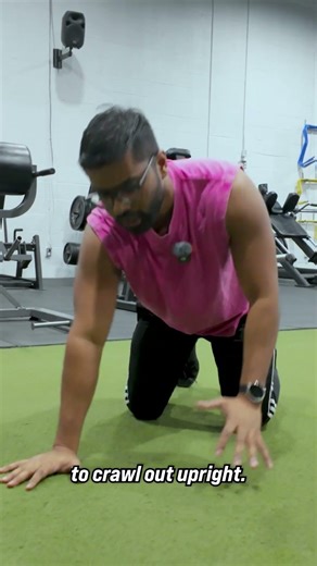 Inchworm Exercise (Beginner Modification)