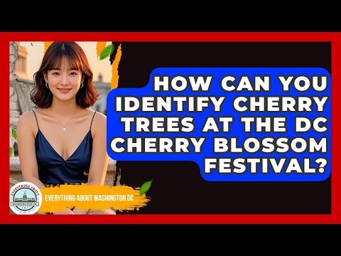 How Can You Identify Cherry Trees At The DC Cherry Blossom Festival?