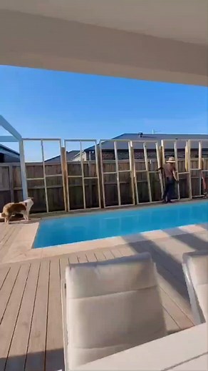 sometimes it's best to just do it yourself... you put more heart into it 💛🙌👌 follow us on tiktok and instagram for more DIY projects currently working on a pool blanket box/storage bench for the pool area 🥰💛 #diy #diyproject #diylandscaping #pool #diypoolinprogress #privacy #privacyscreen #weatherboard #jameshardie #tintpaint #white #coastaldecor #coastalhomedecor #coastalhomevibes #coastalhome #whitepaint #whitepainting #whitepaintingdiy #diycarpentry