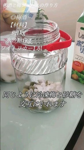 世界一簡単な【梅酒・梅ジュースの作り方】時短で失敗知らずレシピいらない最強のレシピ（笑）