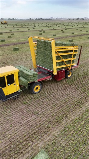 3.1M views · 25K reactions | Green green hay. #farm #farming #hay #custom #country #farmer #alfalfa #farmlife #local #tractor #summer #dirt | Bales Hay Sales | Facebook