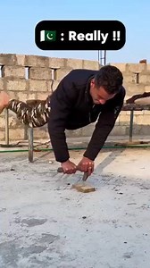 Push-ups king🇵🇰☠️ #hubaibofficial #hubaibstunts #tiktokvibes #UnmatchedVibes #ConfidenceMode #fyp #AttitudeOnPoint #LevelUpLife #trendingnow #stuntlife | Hubaib stunts