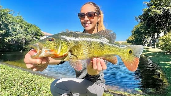 Sneaky Backyard Fishing for Florida’s Most Exotic and Aggressive Fish