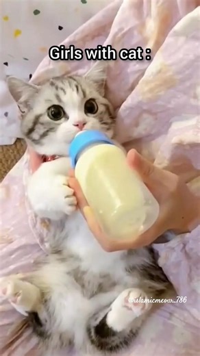 girls with cat vs boys with cat 😁🤣.... #cuties #cats #funny #viral #trending #islamicmeow