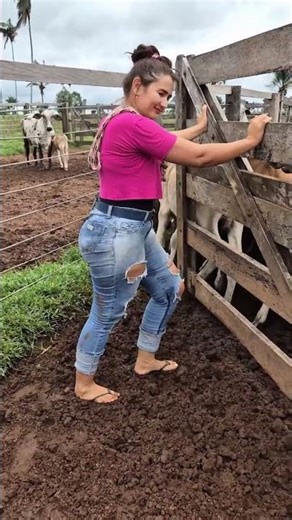 Funny Farm Moment 😂 | Girl Opens Gate & Cows Go Crazy in Mud! 🐄 #villagelife #cow #rurallife