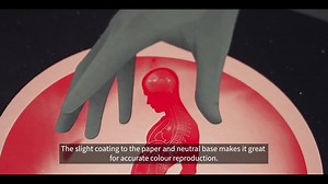 25K views · 26 reactions | Which paper is best to print your art or photography? Find out in this visual guide. | theprintspace | Facebook