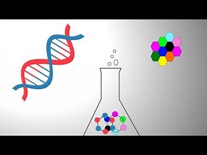General Biochemistry | Final Revision of practical