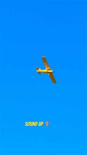 hangar 9 Piper cub ASMR #rcplane #aviation #pipercub